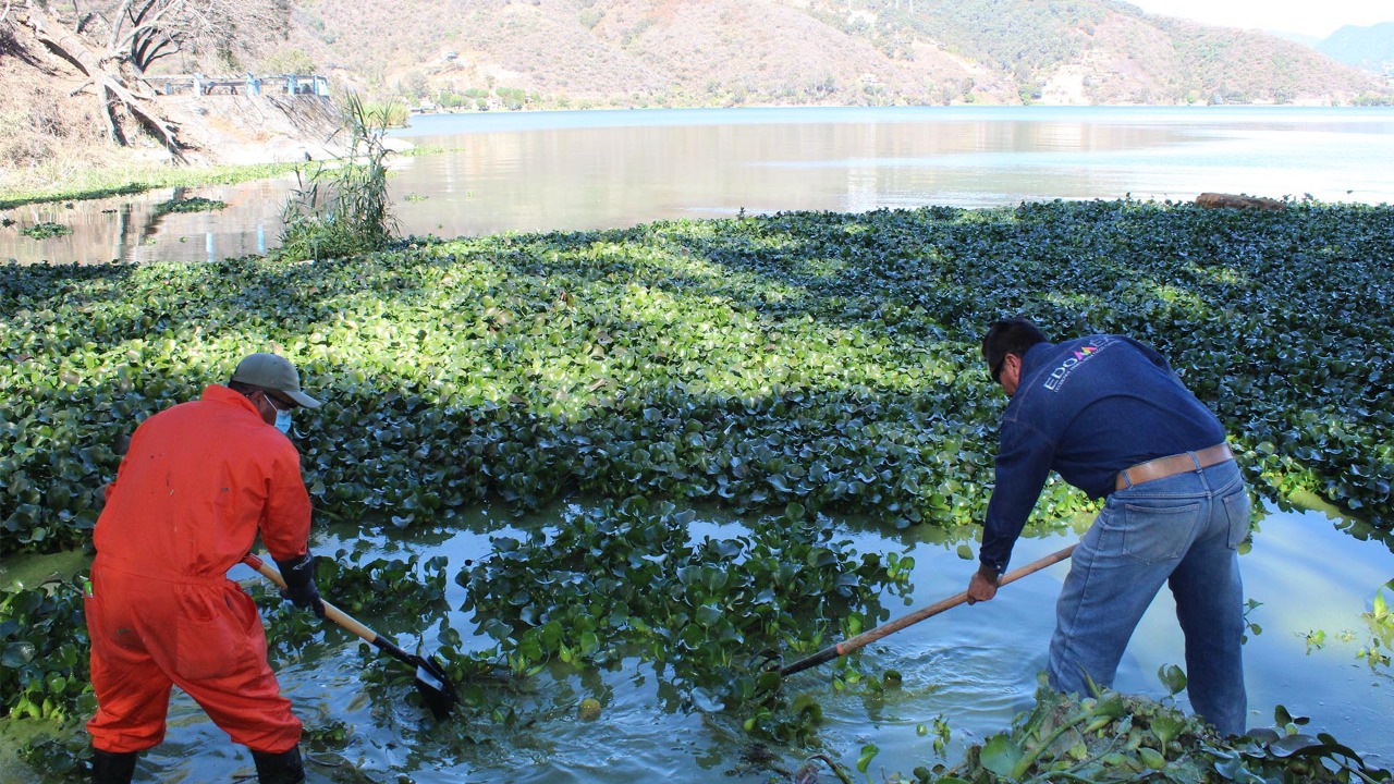 Retira CAEM microalgas de lago de Valle de Bravo