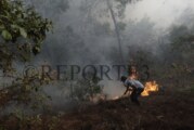 Reserva natural en peligro, arde Valle de Bravo