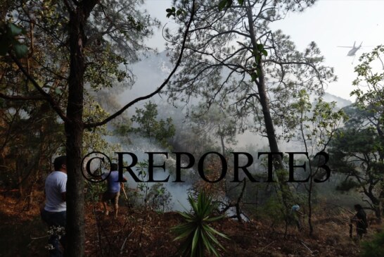 Tras controlar incendio, hallan cuerpo calcinado en Valle de Bravo