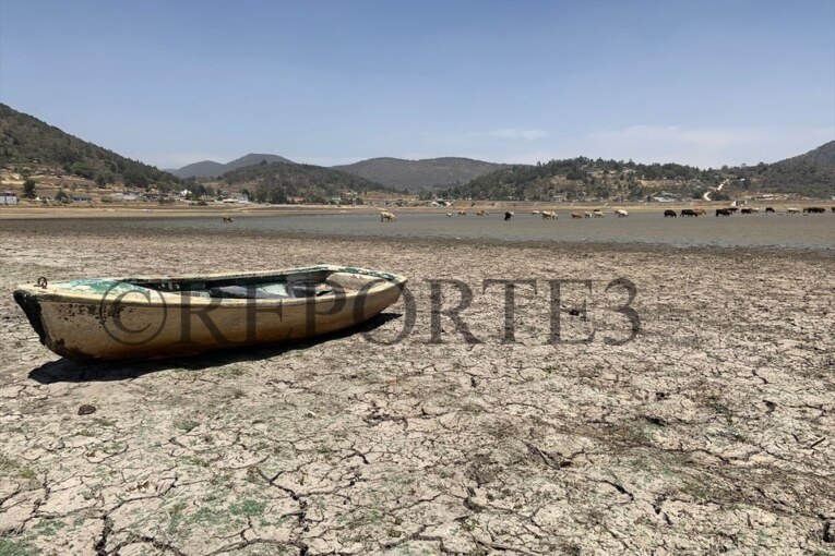 Crisis Hídrica en Acambay, sequía amenaza siembra de maíz.