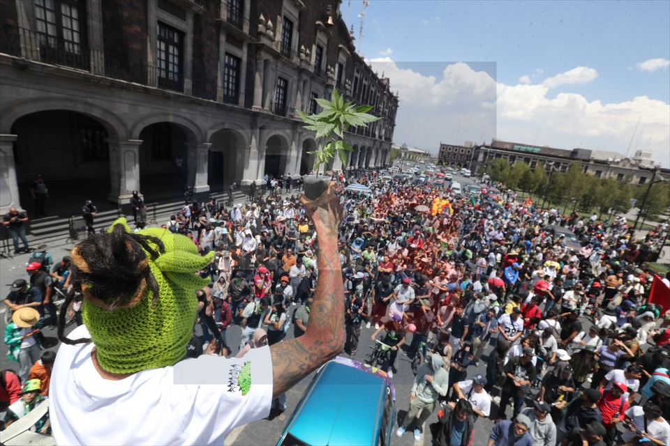 Rodada Cannábica reúne a miles en Toluca #420Weed #VictoriaVerde