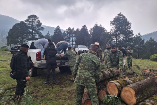Ejército Mexicano, Guardia Nacional y Procuraduría Federal de Protección al Ambiente,aseguraron aserradero en el Municipio de Otzolotepec