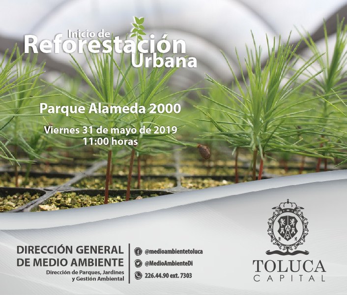 Invita Toluca a participar en la plantación de 1.5 millones de árboles
